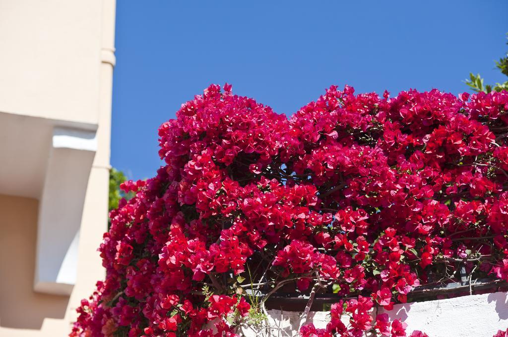 Hotel Casa Di Meglio Ischia Exterior photo